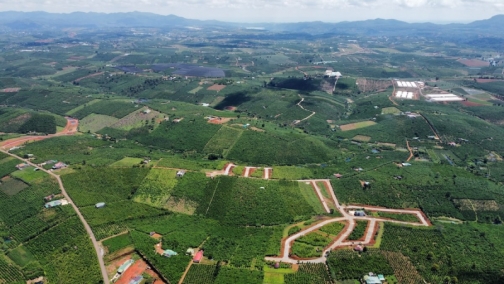 kinh nghiem dau tu vao thi truong mua ban dat lam dong hieu qua